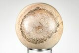 Polished Agatized Dinosaur (Gembone) Sphere - Morocco #198502-1